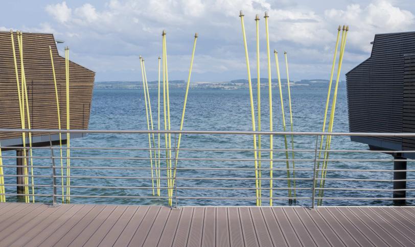 Brun exotique rainurée